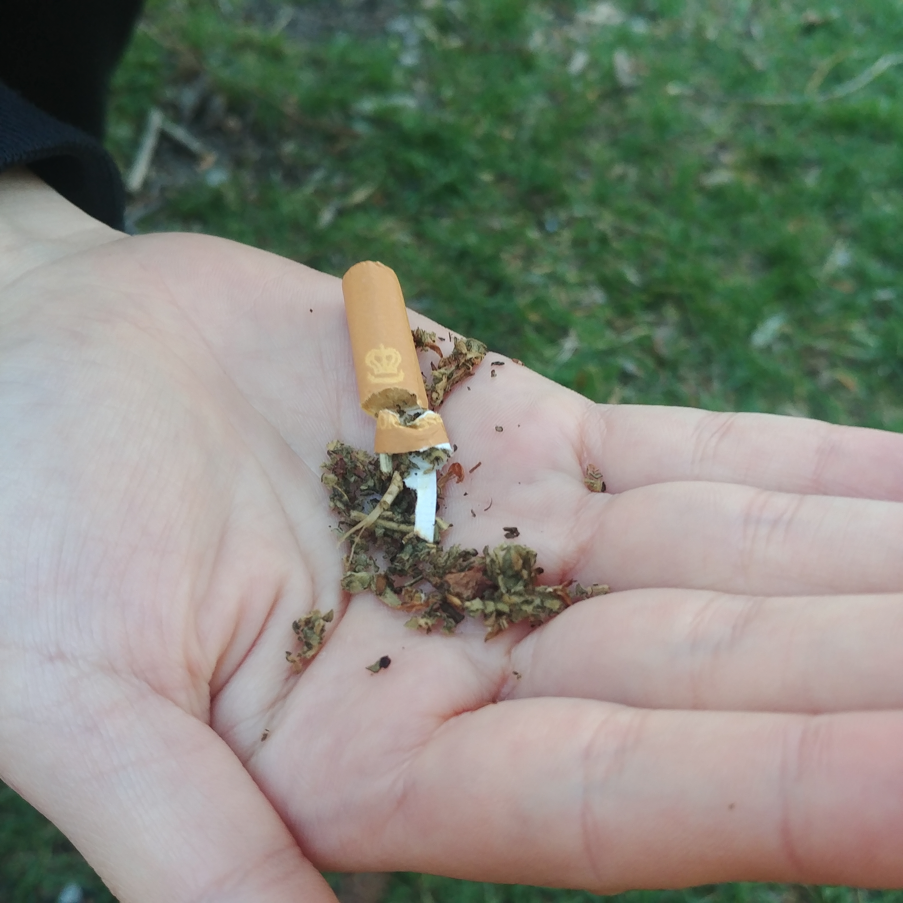 뉴질랜드 금연초 체험 Herbal Smokes