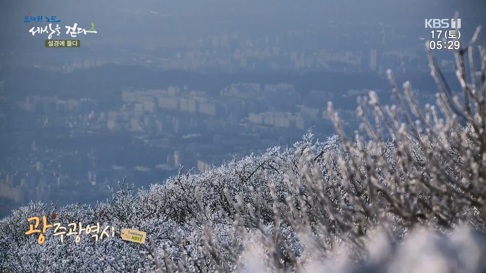 트레킹노트 세상을 걷다.E308.240217p.H264-F1RST.mp4_20240316_172233.436.jpg