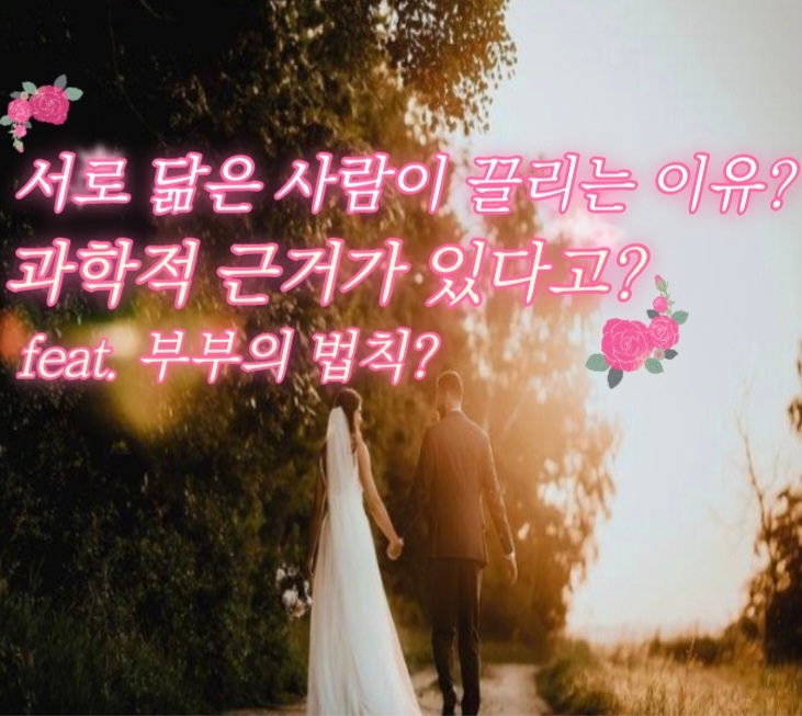  부부는 서로 닮는다고?? 부부의 법칙? feat.과학적사실 하관이 닮았다?