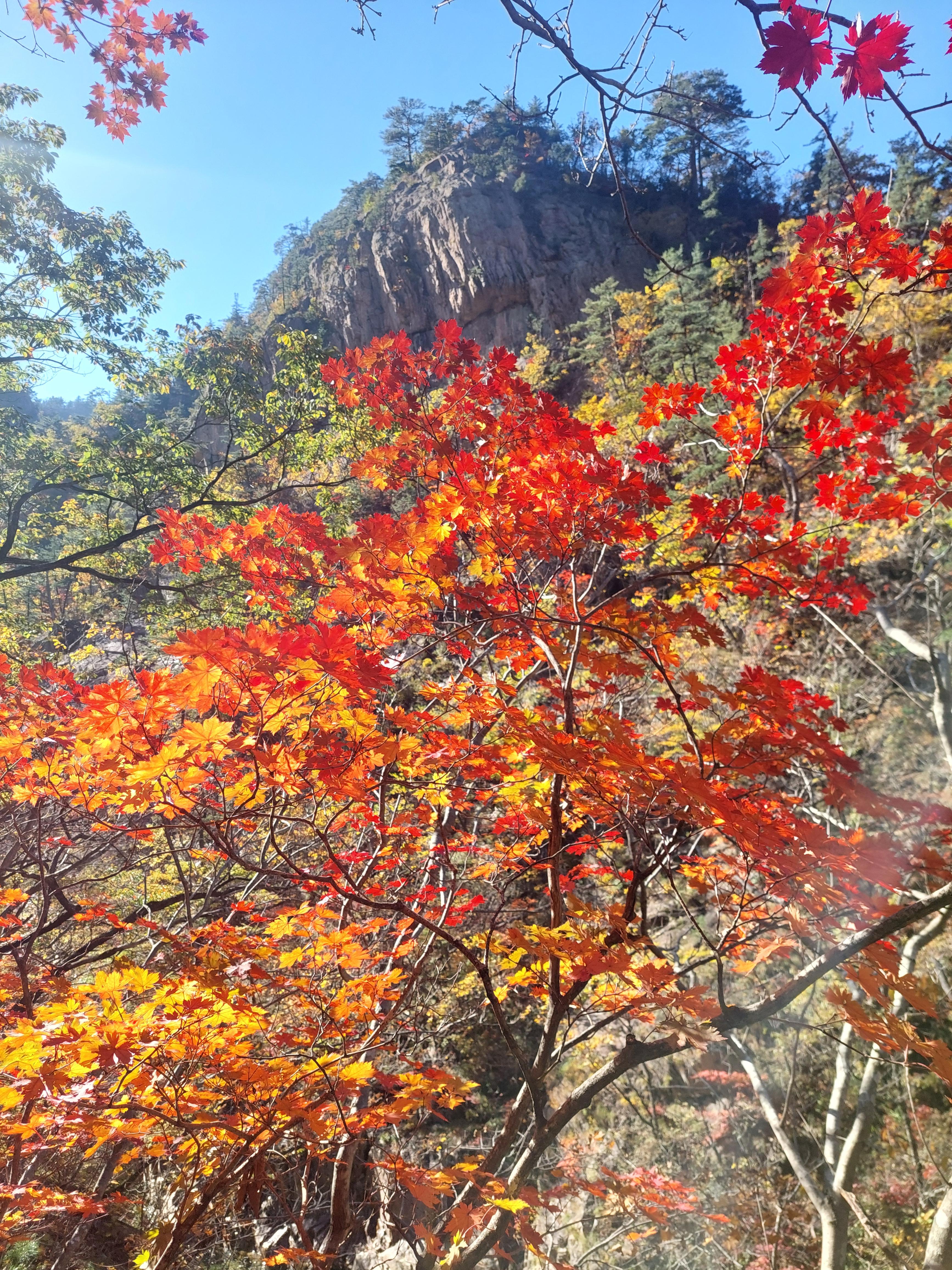 설악산