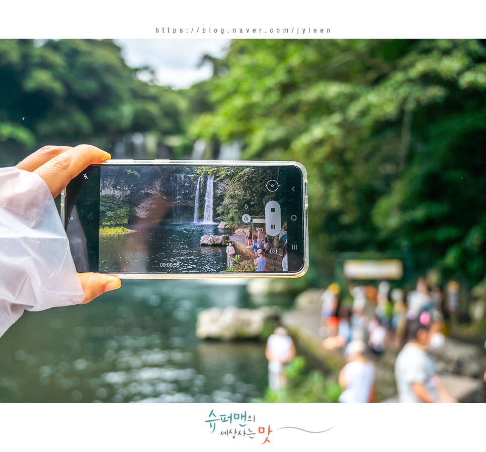 승합차렌트 제주도 7