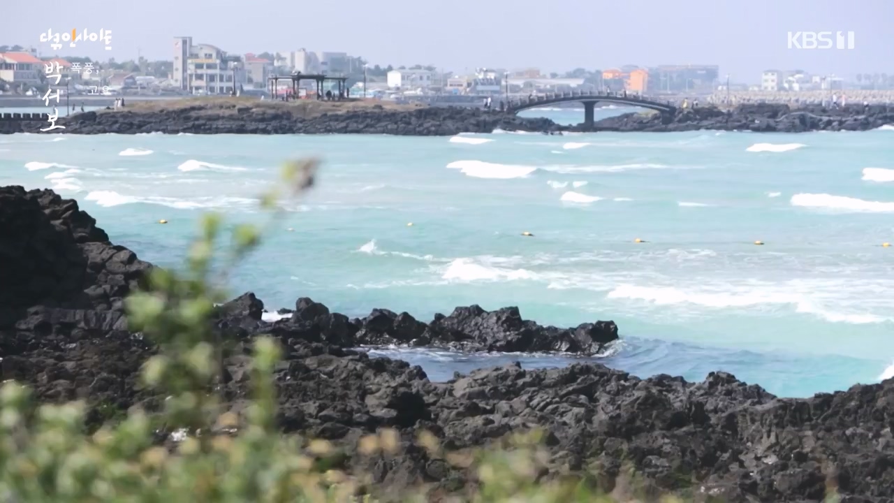 다큐 인사이트.E167.231103p-NEXT.mp4_20231103_200430.824.jpg