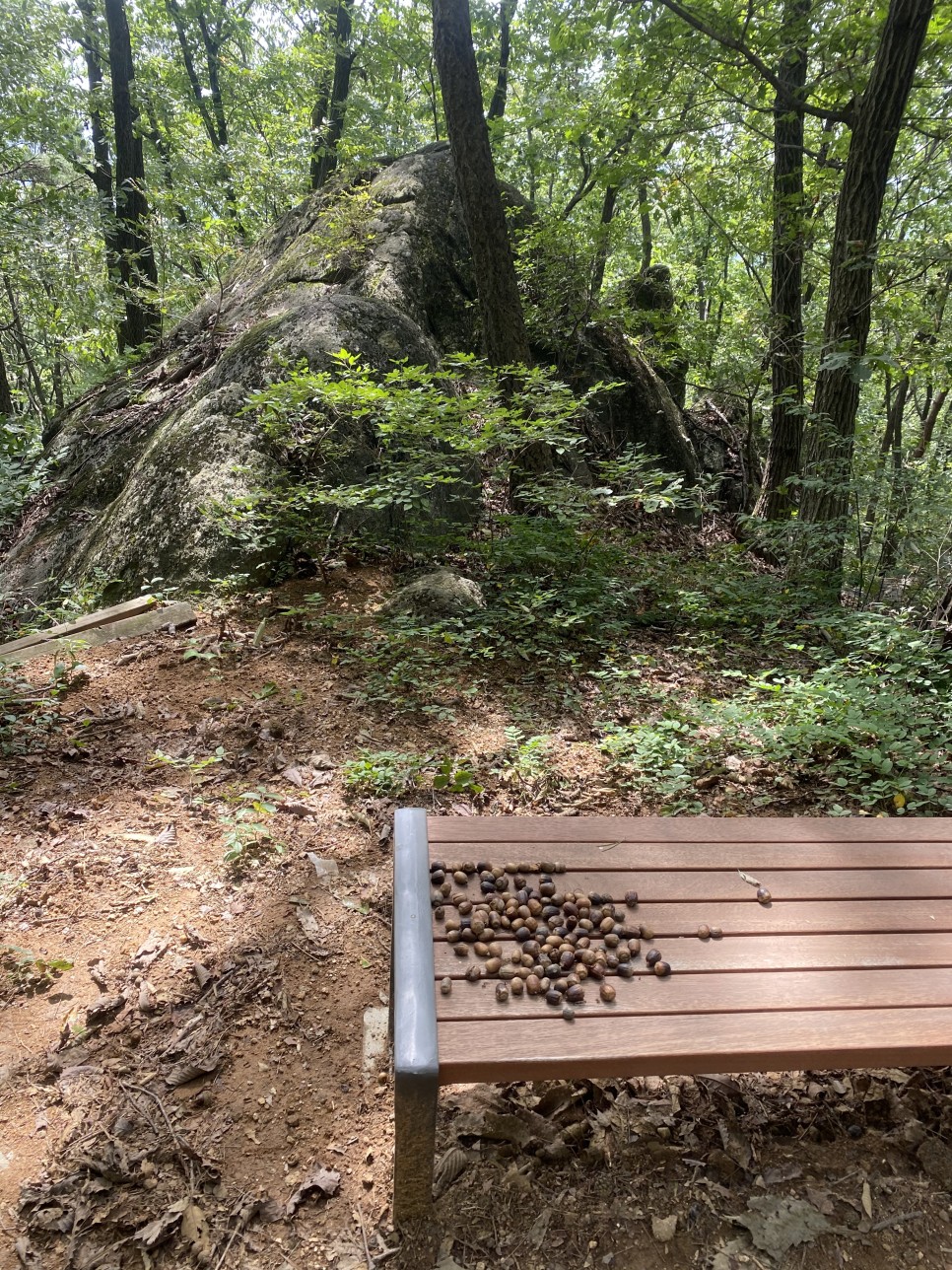 홍길동이 다녀간 33