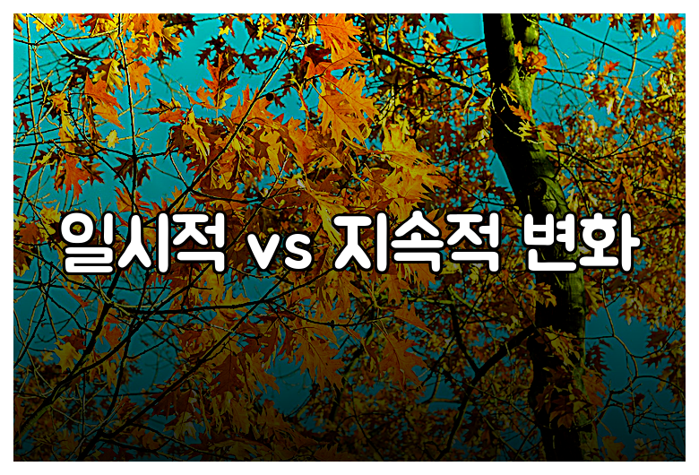 일시적 vs 지속적 변화