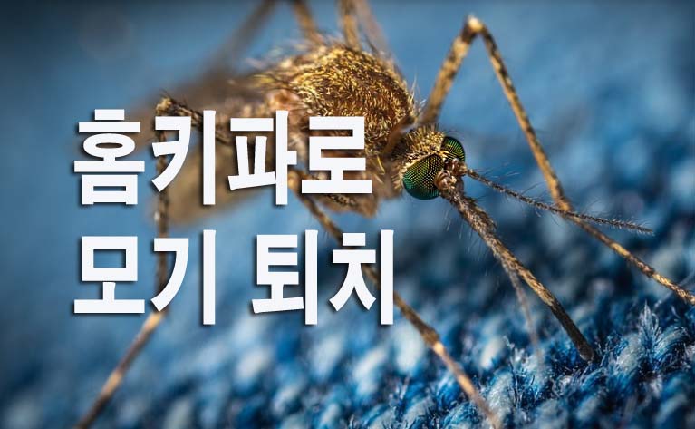  홈키파∙홈매트로 해충,모기,진드기 퇴치하기