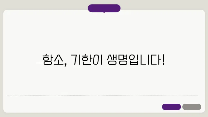 항소이유서 제출 기한 관리 전략