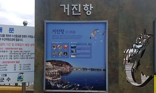 거진항