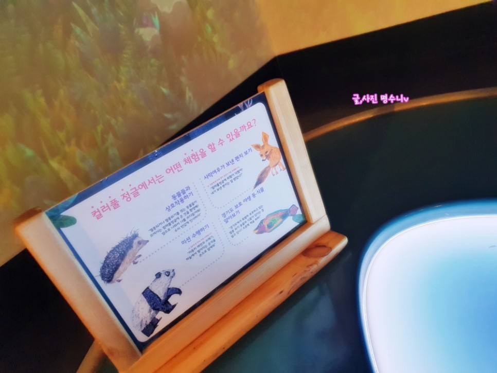 경기도 어린이 박물관 주차 용인 경기도 어린이박물관 예약 25