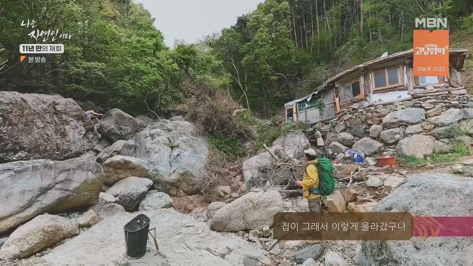 나는 자연인이다.E553.230510p.H264-F1RST.mp4_20230511_195228.129.jpg