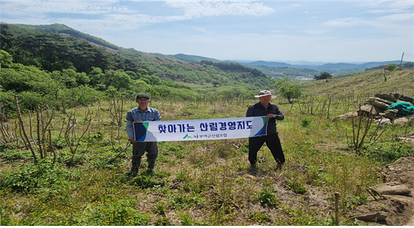 임가농장 이미지