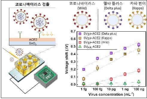 한국과학기술연구원(KIST), 변이 상관없이 30분만에 코로나 검출 진단 플랫폼 개발 