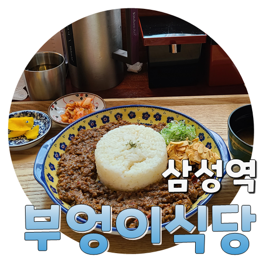  삼성역 독특한 일식카레집 부엉이식당