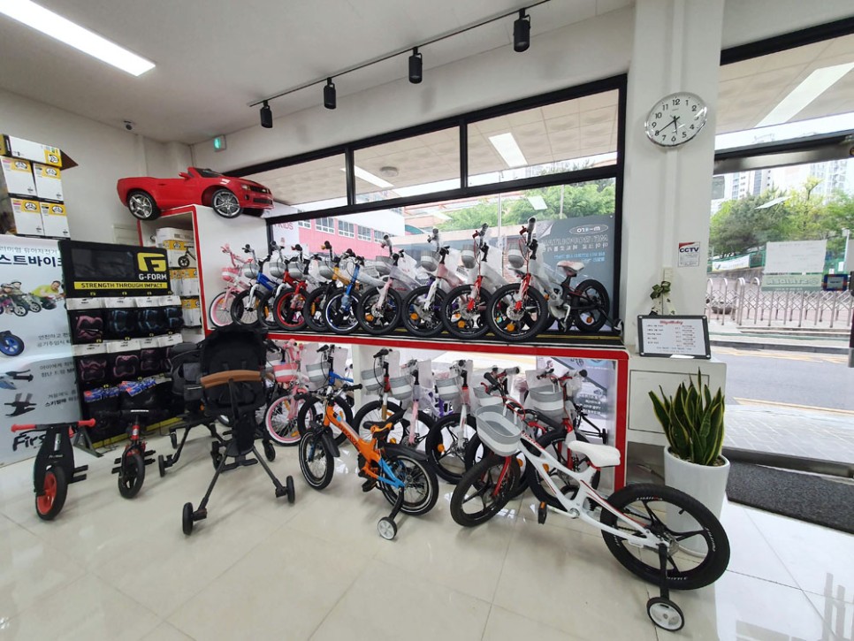 매장구매&6개월사용 리뷰(feat.교통사고ㅠㅠ) 마이크로킥보드 맥시T 폴더블 디럭스 쇼킹핑크 6