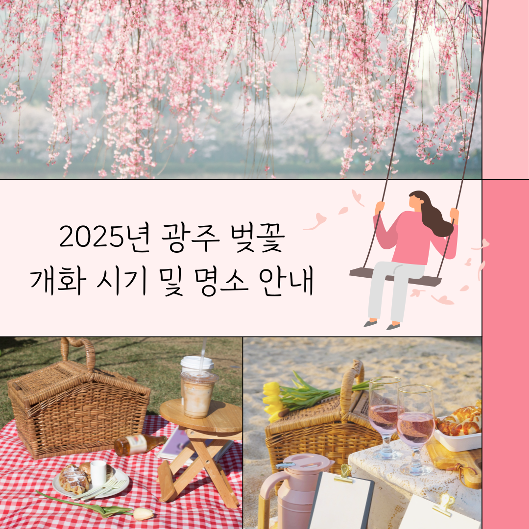 2025년 광주 벚꽃 개화 시기 및 명소 안내