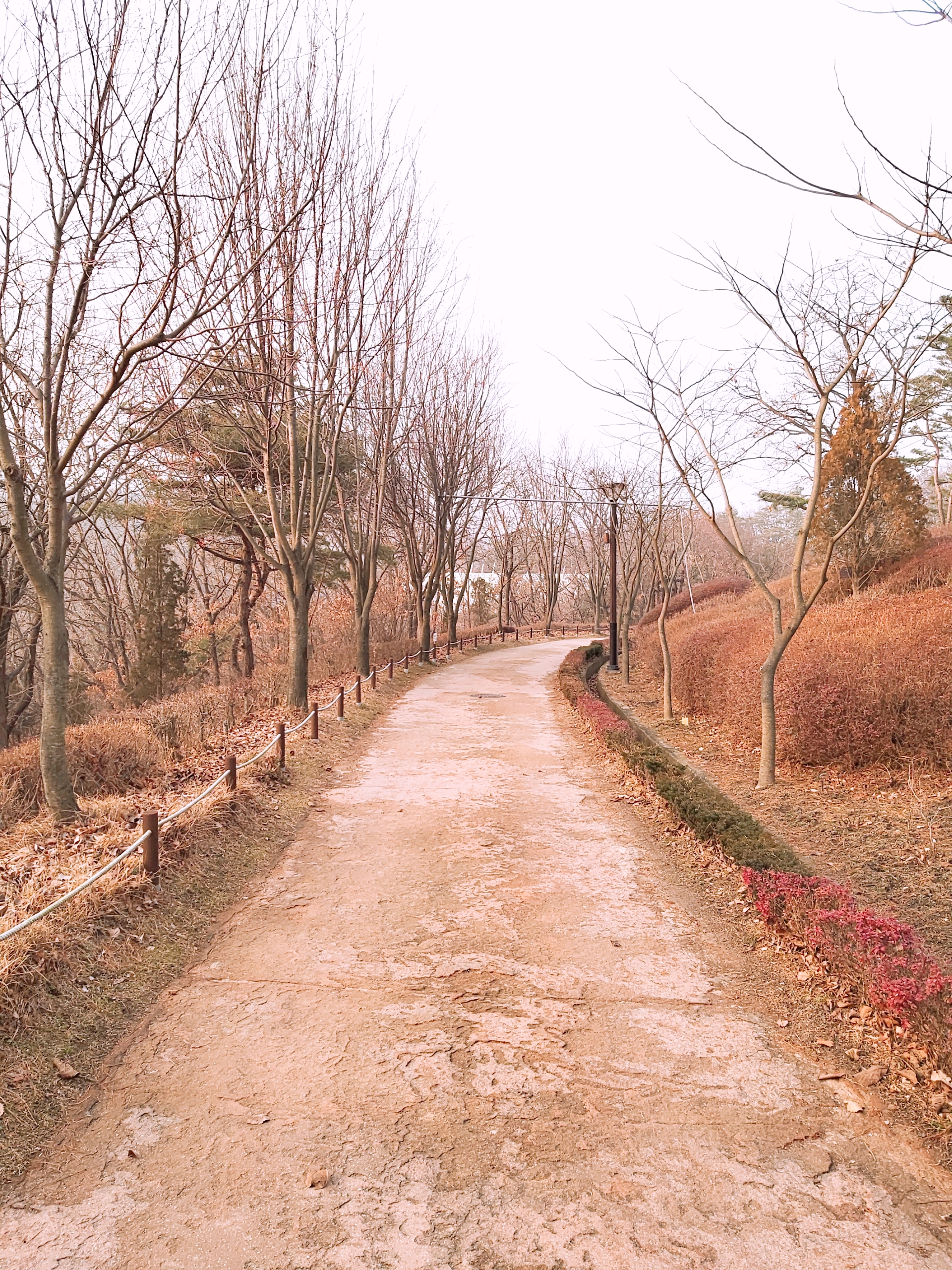 영인산수목원 풍경길