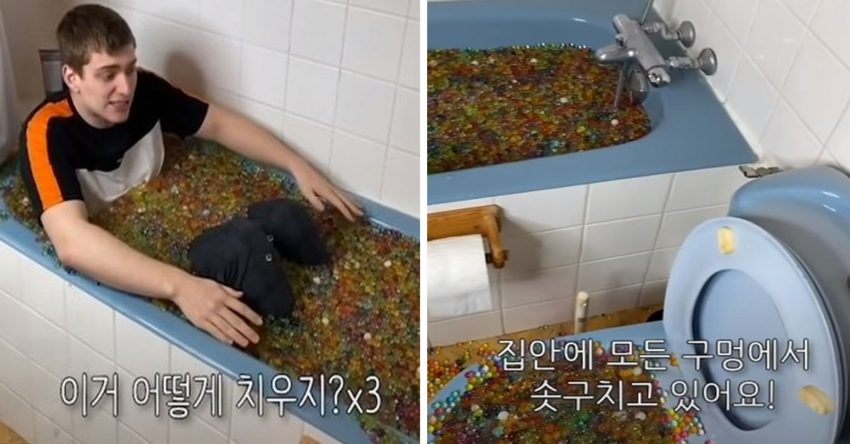  개구리알 장난감 욕조 하수구에 버린 틱톡커 대참사 ㅎㄷㄷ