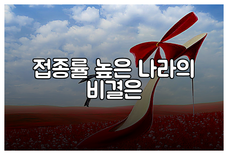 접종률 높은 나라의 비결은