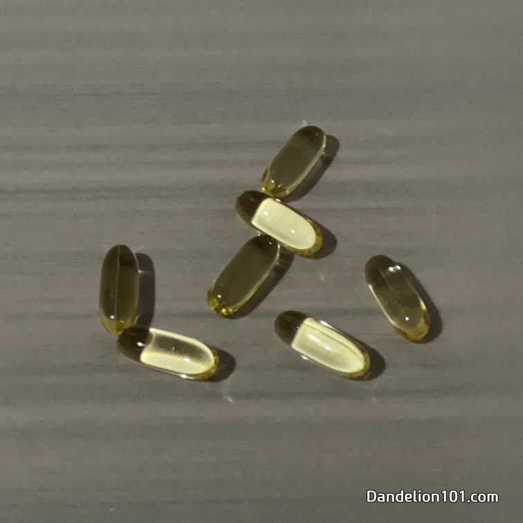 오메가 3 보충 알약 사진