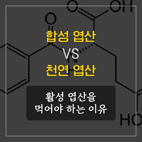 합성엽산-천연엽산-차이점-및-활성엽산-먹어야-하는-이유