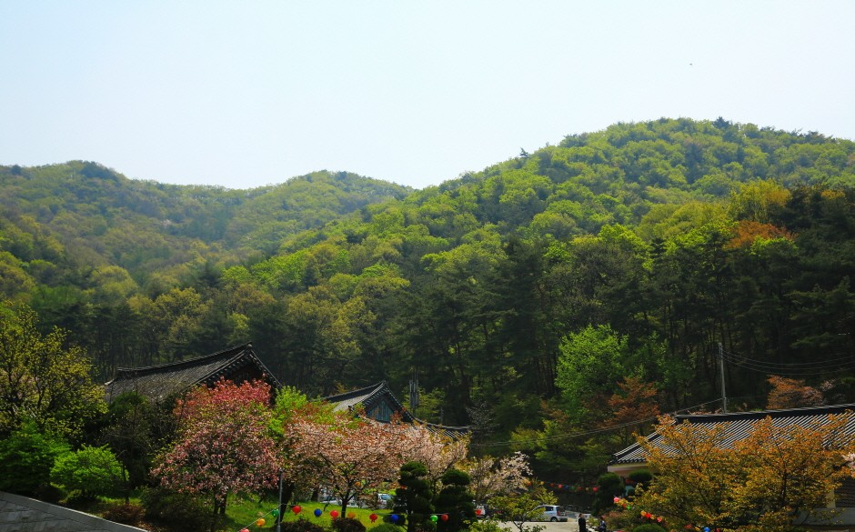 충청남도 천안 여행 - 1 산, 절, 사찰, 역사 여행, 천안 관광 지도, 충남 천안 가볼만한곳, 흑성산성, 광덕산, 승천사 8