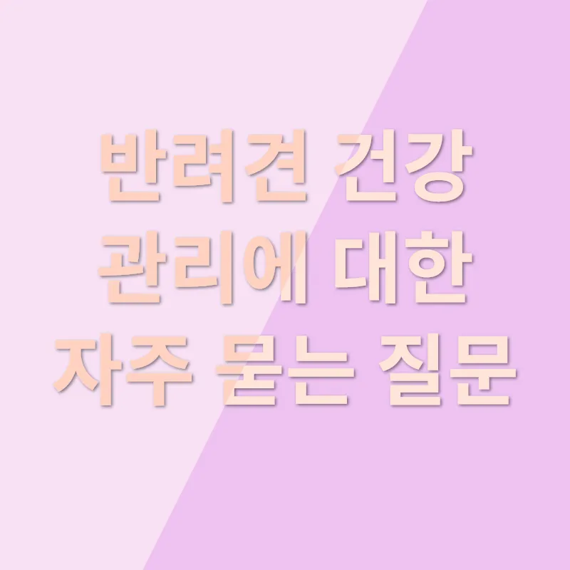 반려견 건강 관리_4