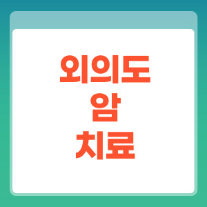 외이도암