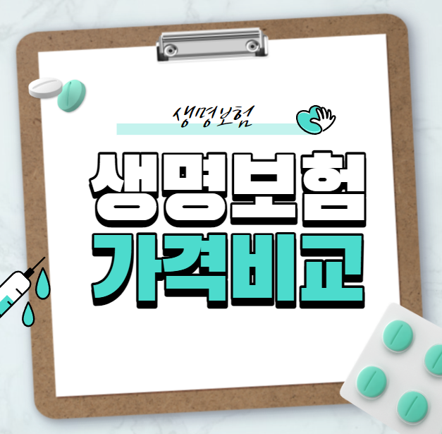 생명보험 추천(+생명보험 가격 비교 알아보는법)