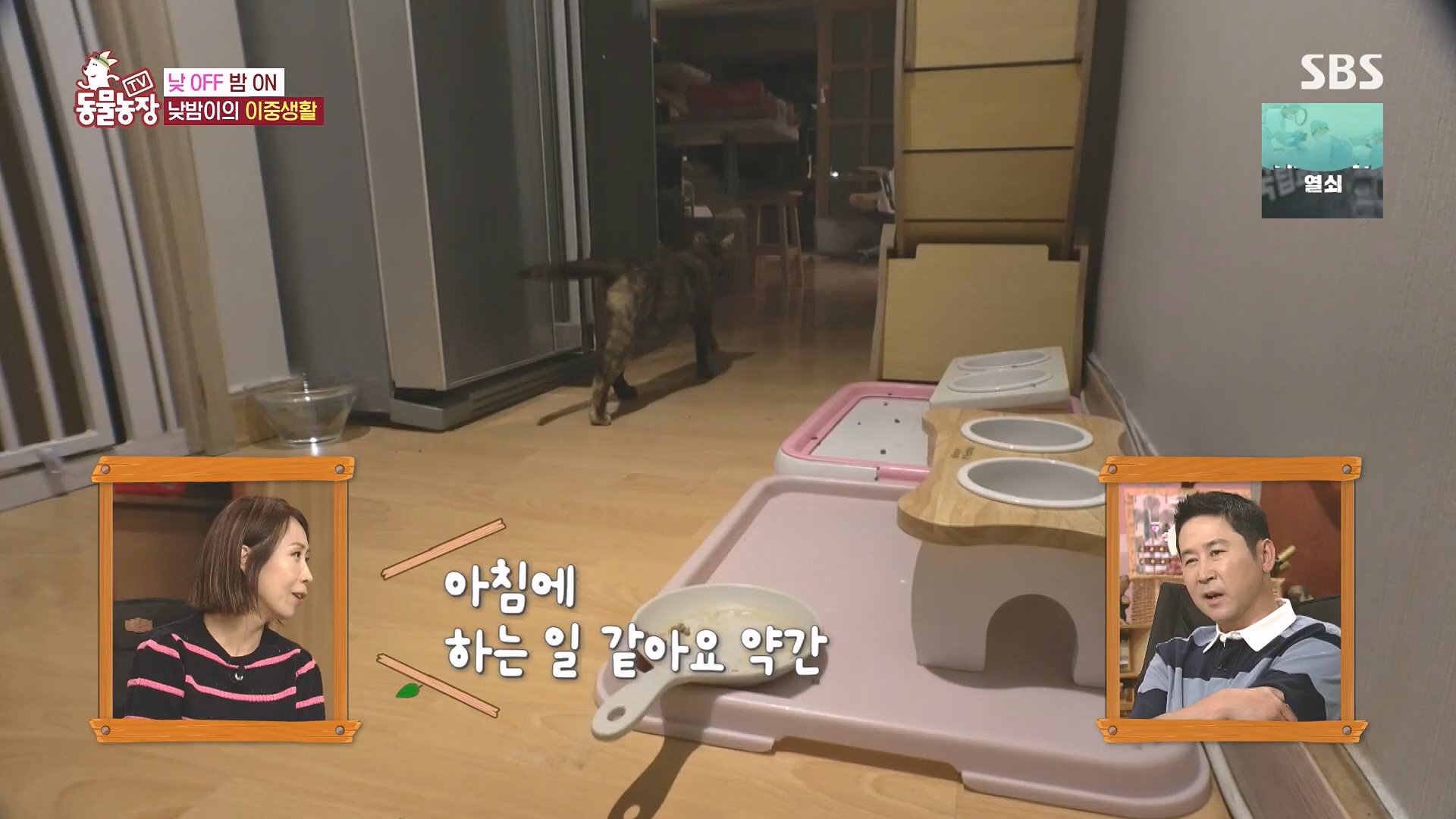 TV 동물농장.E1136.230903p.H264-F1RST.mp4_20230903_180356.796.jpg
