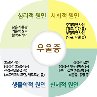 우울증의 원인 (도표출처-서울아신병원 질환백과)