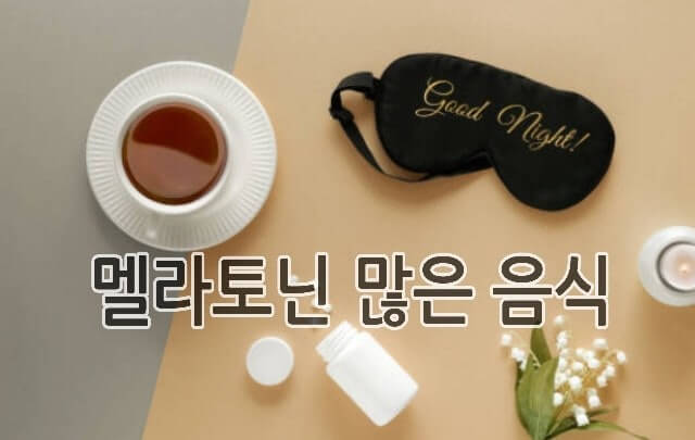 멜라토닌 많은 음식