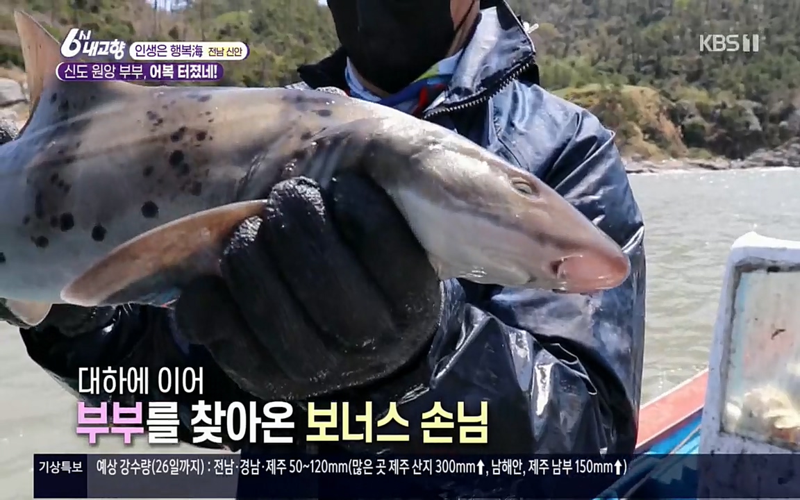 6시 내고향.E7518.220426p.H264-F1RST.mp4_20220504_192345.879.jpg