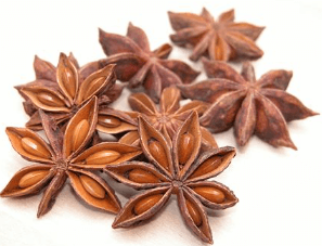 팔각(Star anise) 모습