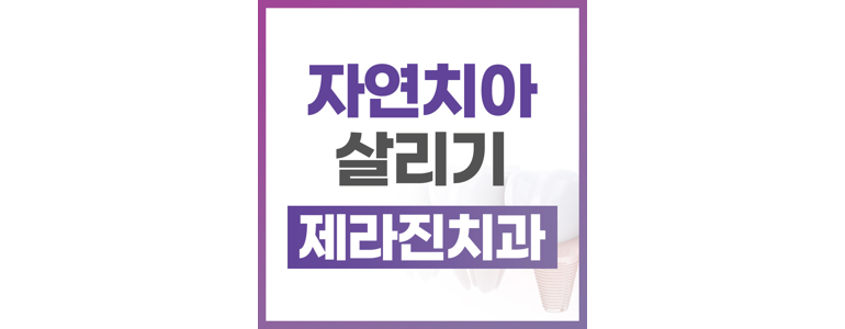 제주 서귀포시 치과