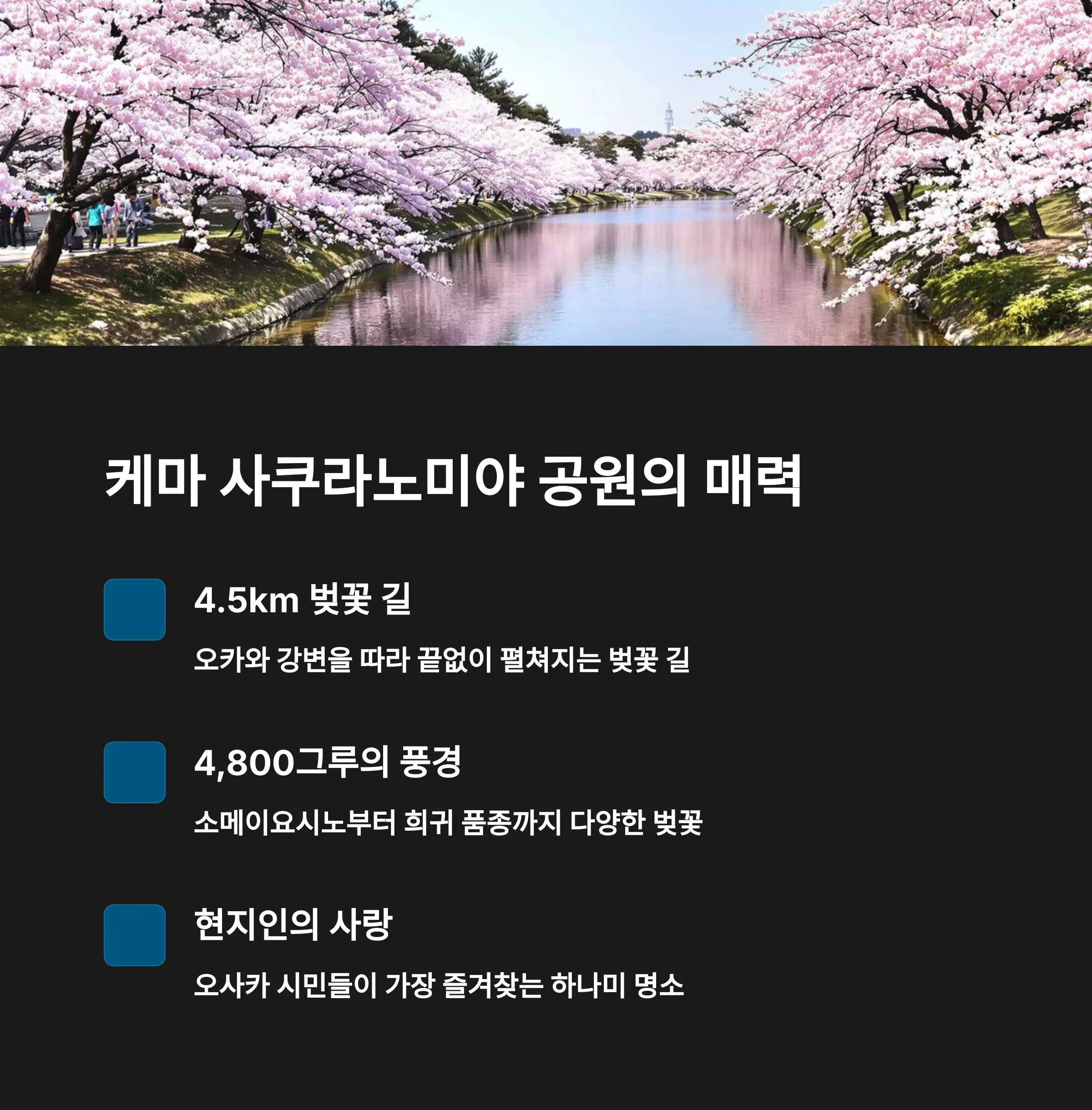 케마 사쿠라노미야 공원