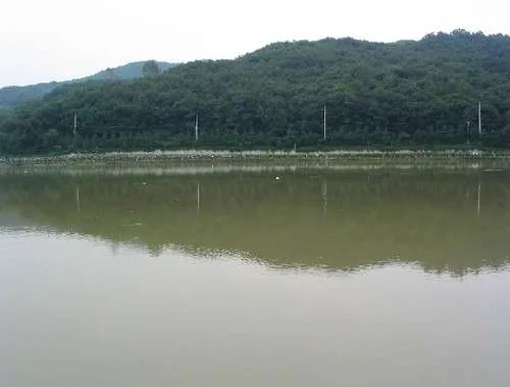 율동공원