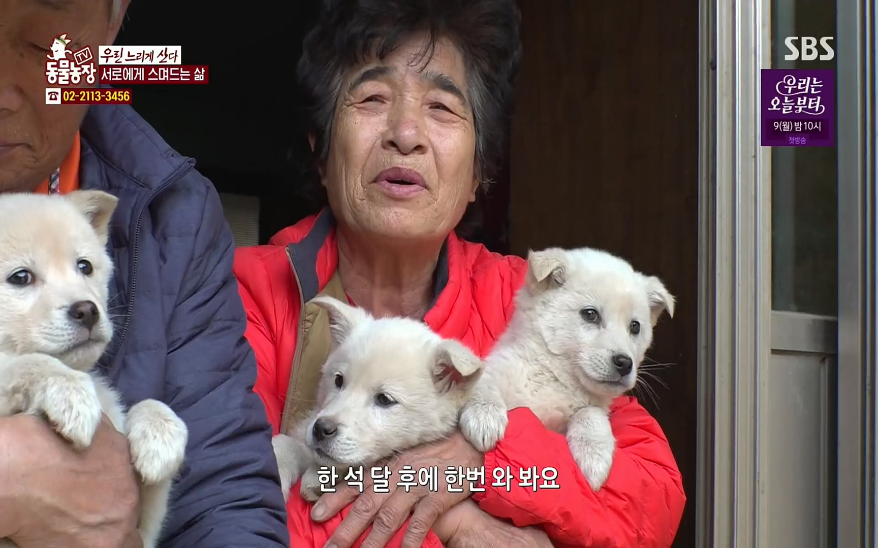 TV 동물농장.E1067.220501p.H264-F1RST.mp4_20220501_184810.510.jpg