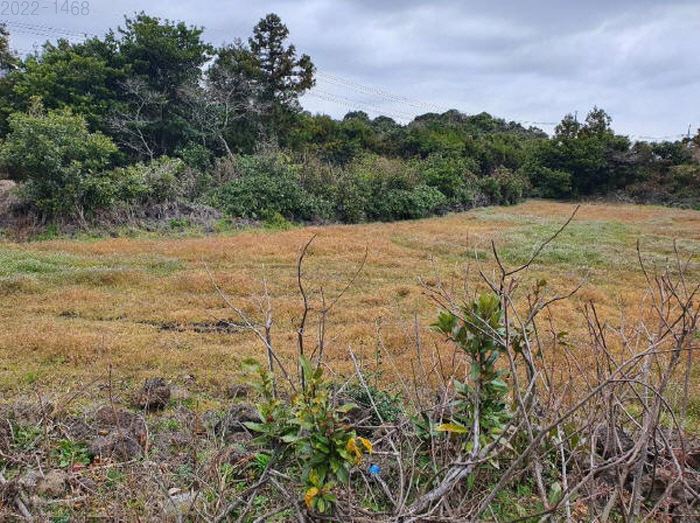 제주도 토지경매 임야경매 서귀포시 6