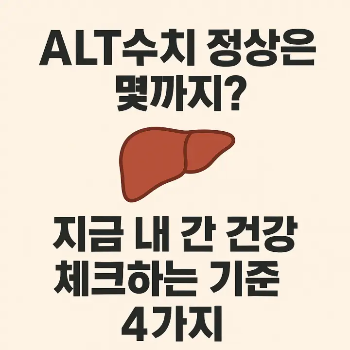 ALT수치