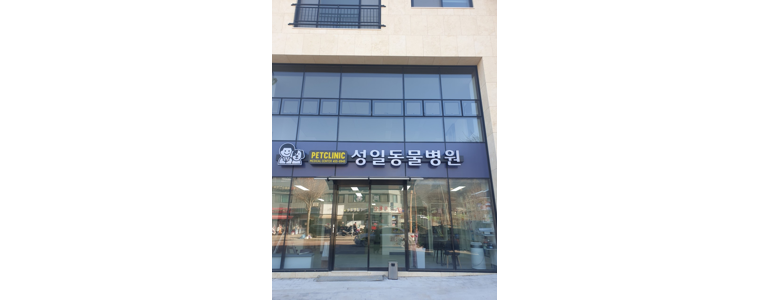 철원군 동물병원