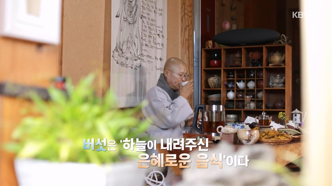 다큐 온.E227.231120p-NEXT.mp4_20231121_201721.532.jpg