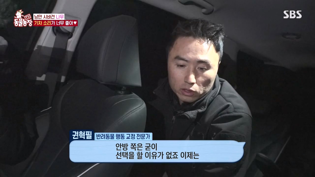 TV 동물농장.E1154.240115p-NEXT.mp4_20240114_184345.275.jpg