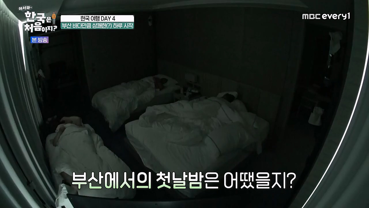 어서와 한국은 처음이지 시즌2.E255.230324p-NEXT.mp4_20230324_203113.231.jpg