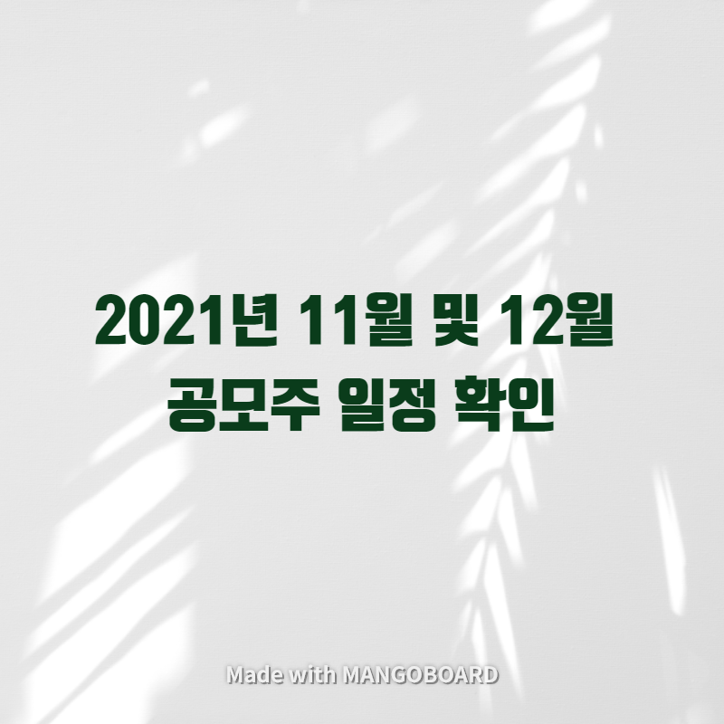  2021년 11월 및 12월 공모주 일정 확인