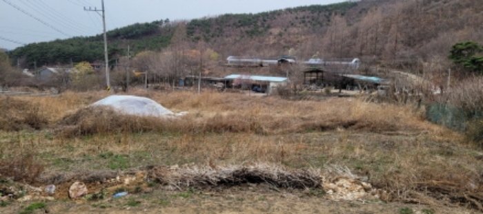 대구지방법원2023타경101028 지천면 창평리 산21-3 전경 - 도로 옆 위치한 나대지 상태의 토지임.