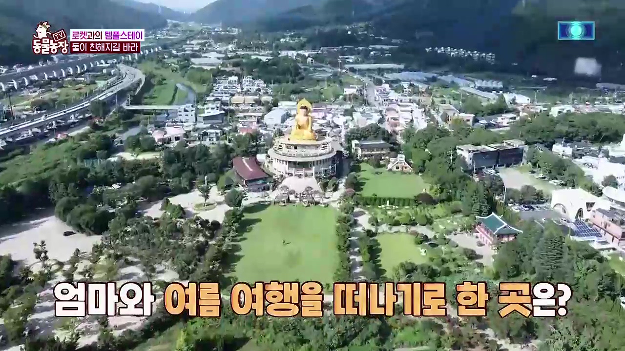 TV 동물농장 1189화 다시보기.ts_20240922_161521.627.jpg