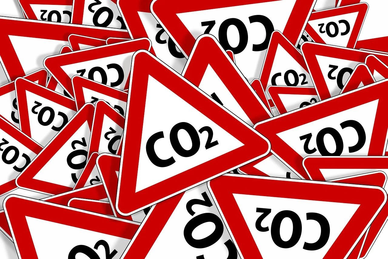 CO2 흡수형 농작물: 탄소중립을 위한 미래 작물