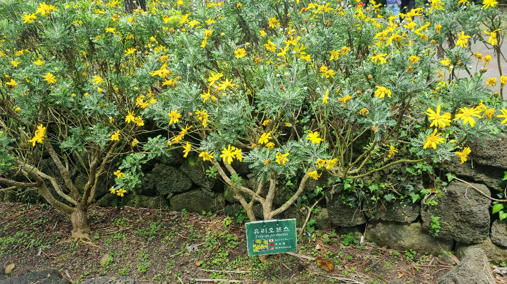한림공원