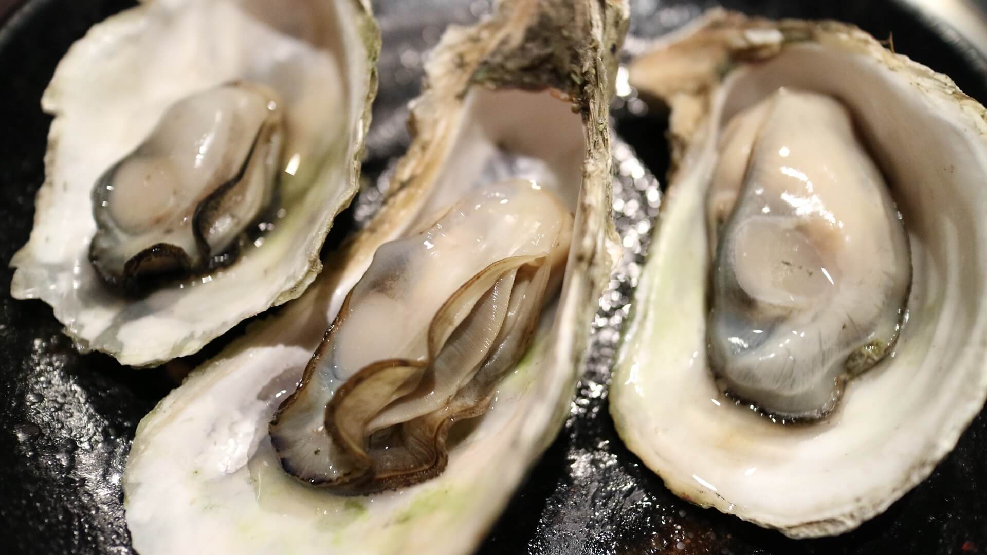 굴이미지