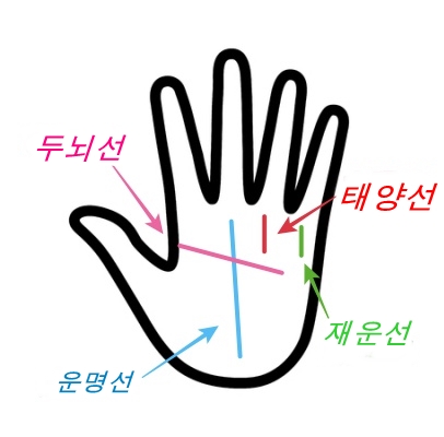  '재운선'은 돈이 어떻게 모이느냐를 알 수 있는 선입니다.