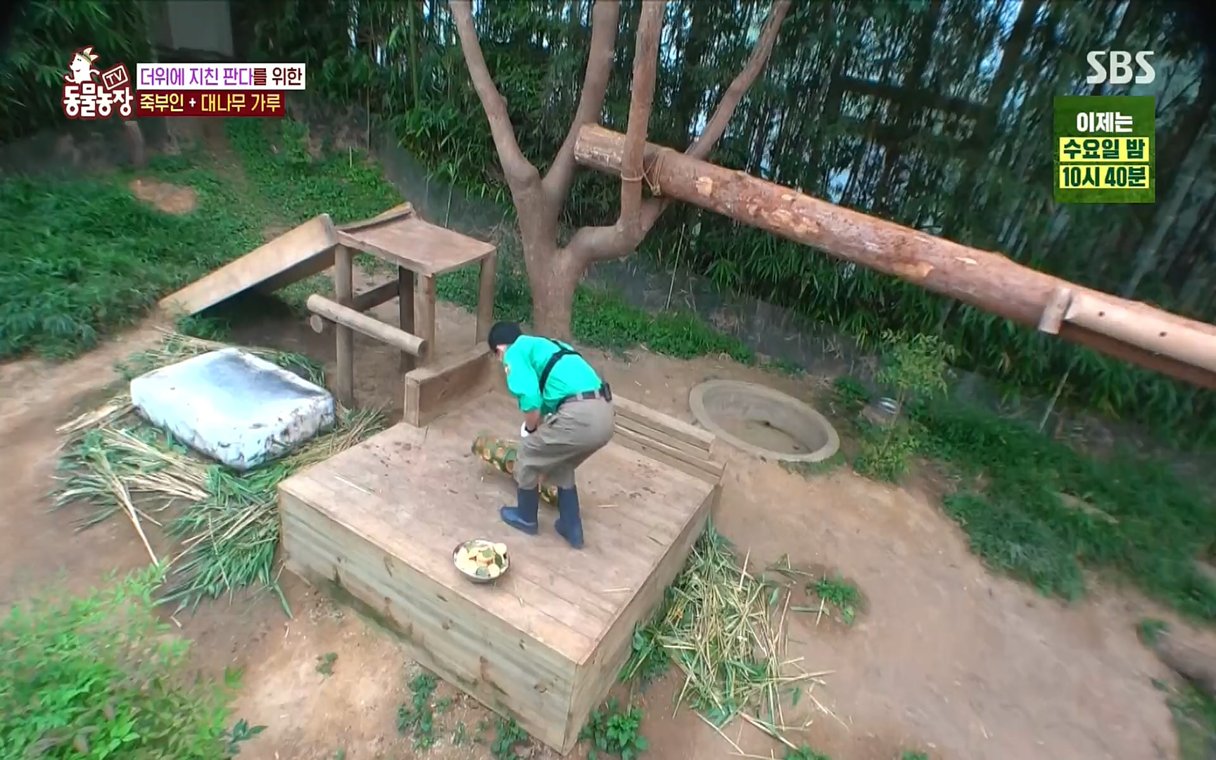 TV 동물농장.E1083.220821p.H264-F1RST.mp4_20220821_183701.951.jpg
